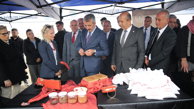 "Efsane renk" Edirne kırmızısının elde edildiği kök boya bitkisinin hasadına başlandı