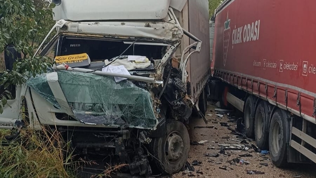 Bursa'da kamyon ile tırın çarpıştığı kazada 1 kişi yaralandı