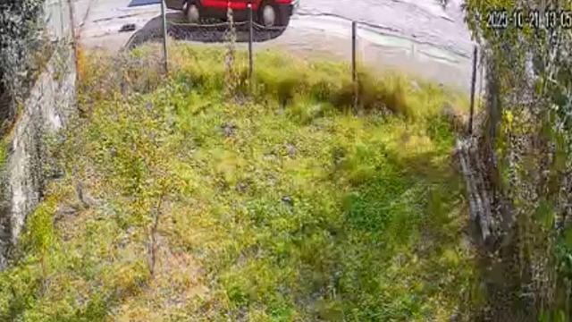 Aracın arkasında sürüklenen köpek öldü; gözaltına alınan sürücü adli kontrolle serbest