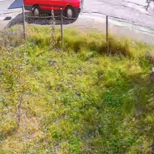 Aracın arkasında sürüklenen köpek öldü; gözaltına alınan sürücü adli kontro...