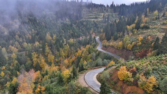 Trabzon'un yüksek kesimleri sonbahar renklerine büründü