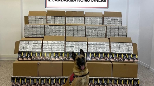 Tokat'ta bin makaron ele geçirildi