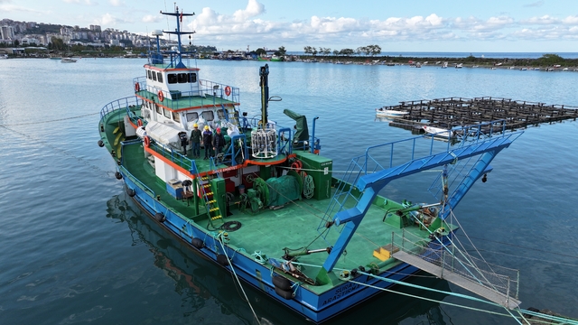Karadeniz'de balık stoklarının araştırılmasına yönelik çalışmalar devam ediyor