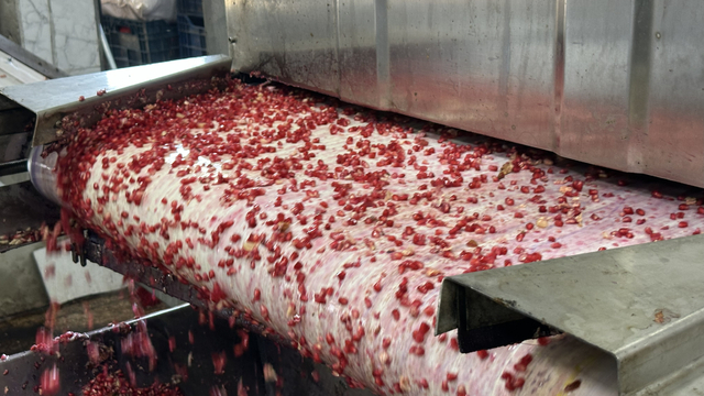 Oğuzeli ilçesinde Nar suyu ve Nar ekşisi yolculuğu başladı