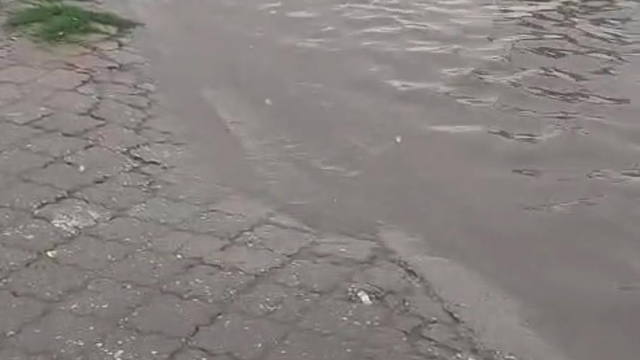 Aydın'da sağanak etkili oldu (3)