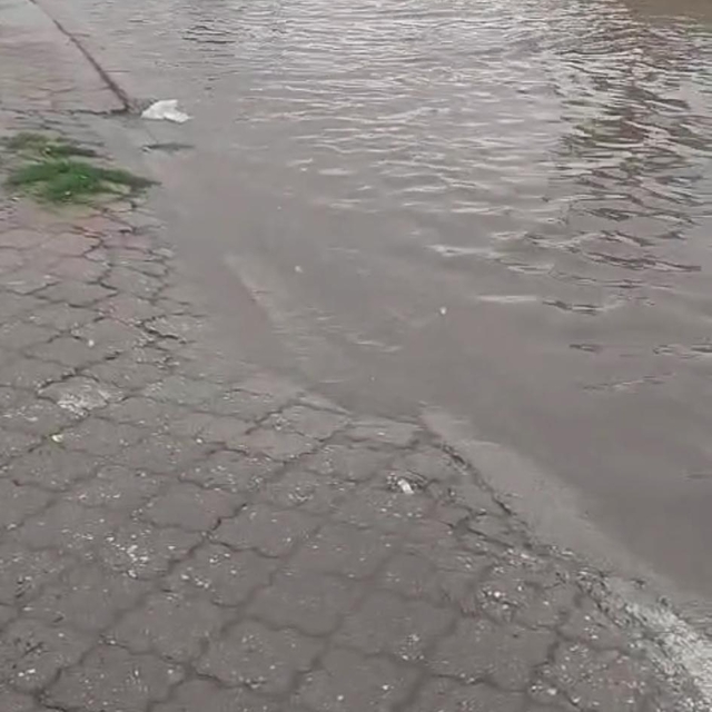 Aydın'da sağanak etkili oldu (3)