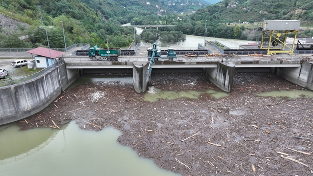 Baraj gölünde sel sularının sürüklediği odunlar temizleniyor
