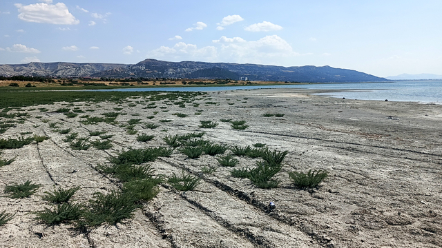 2 yıldır susuz tarım eğitimi verip, köye dönüşü teşvik ediyor