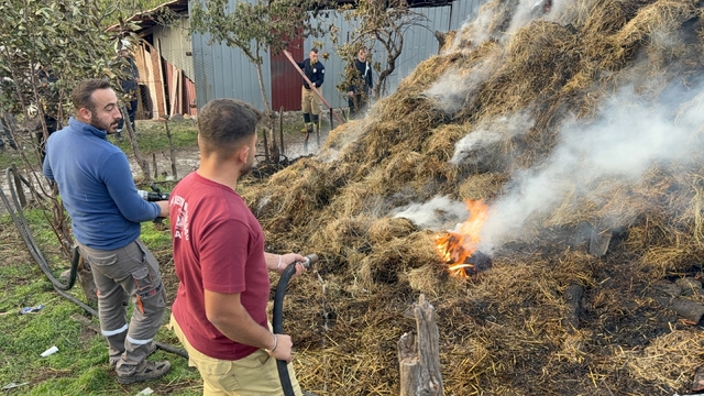 Çanakkale'de küçükbaş hayvan işletmesindeki yangın söndürüldü