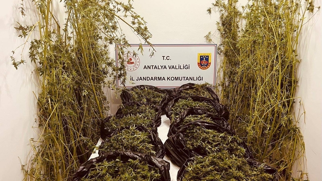 Antalya'da 53 kilo 250 gram skunk ele geçirildi