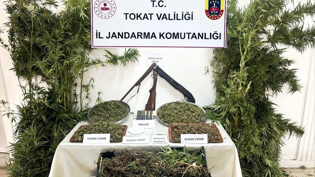 Tokat'ta 4 kilo 578 gram kubar esrar ele geçirildi