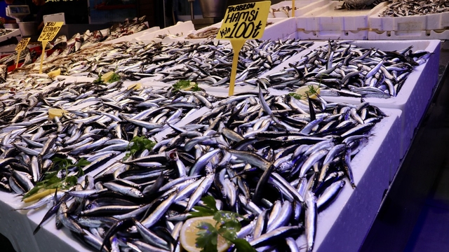 Trabzon'da hamsinin kilogramı 100 liradan satıldı