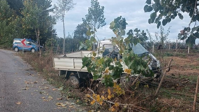 Samsun'da bahçe çitine çarpan kamyonetin sürücüsü yaralandı