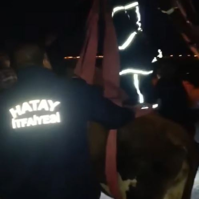 Hatay'da dama çıkan inek, vinçle indirildi