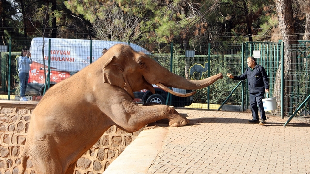 Türkiye'nin en büyük hayvanat bahçesi kışa hazır