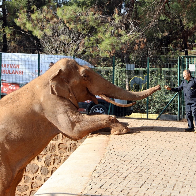 Türkiye'nin en büyük hayvanat bahçesi kışa hazır
