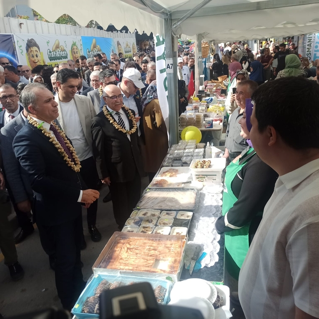 Osmaniye'de "Yer Fıstığı Festivali" başladı