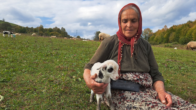 Eşini kaybettikten sonra oğluyla birlikte çobanlık yapıyor
