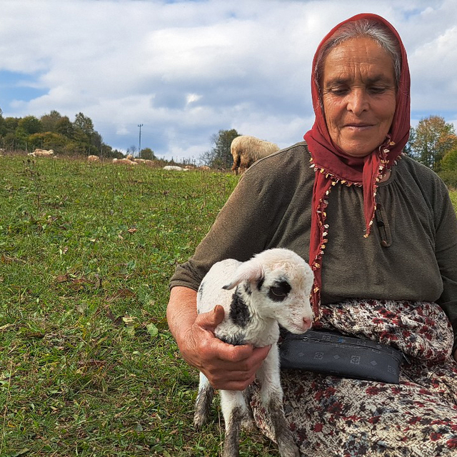Eşini kaybettikten sonra oğluyla birlikte çobanlık yapıyor