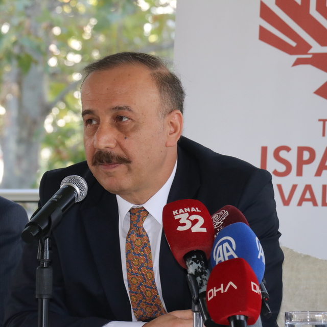 Isparta'da kedilerin pati ve kuyruklarının büyü için kesildiği iddialarına...