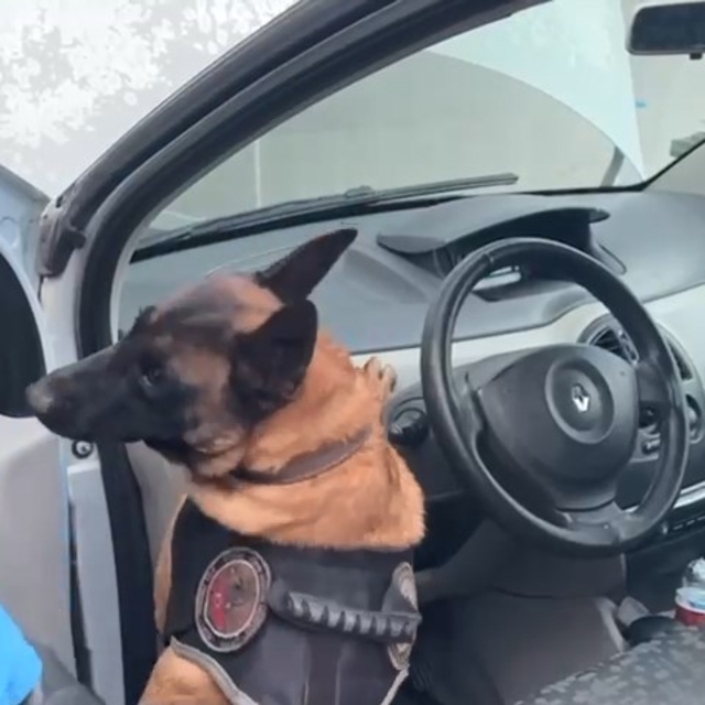 Kocaeli'de otomobile zulalanmış 45 kilo eroin ele geçirildi