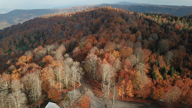 Kuzuyayla Tabiat Parkı'nda sonbahar güzelliği