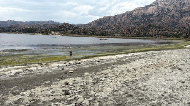 Suyu 50 metre çekilen Bafa Gölü'ne Büyük Menderes Nehri hayat verecek