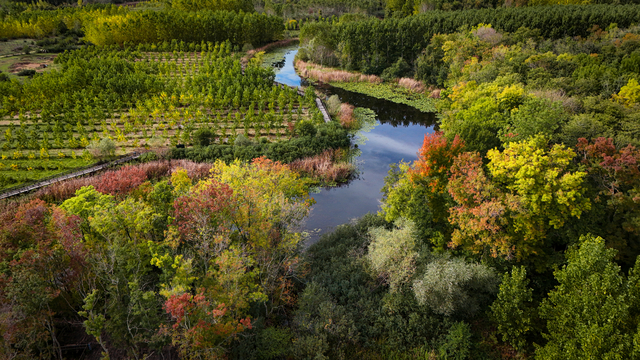 Sakarya'da Acarlar Longozu ve Büyük Melen havzası sonbaharın tonlarıyla renklendi