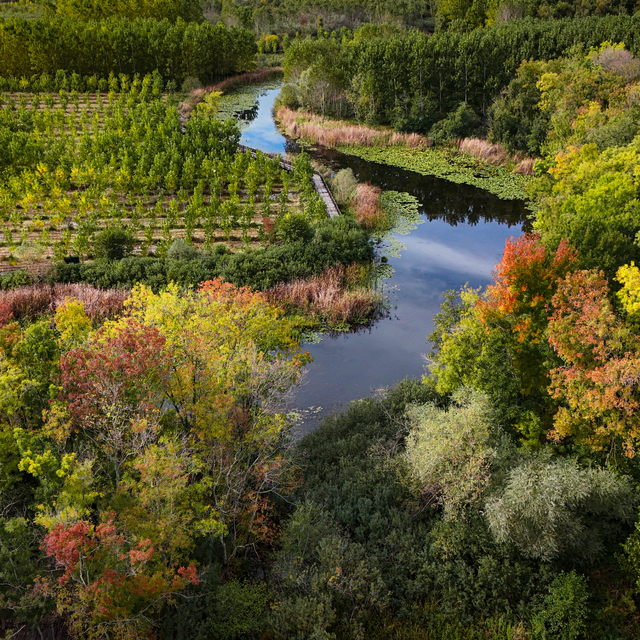 Sakarya'da Acarlar Longozu ve Büyük Melen havzası sonbaharın tonlarıyla ren...