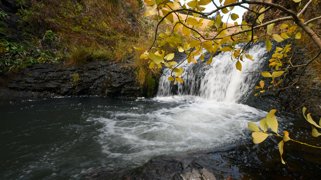 Kars'taki Keklik Vadisi'nde sonbahar güzelliği yaşanıyor