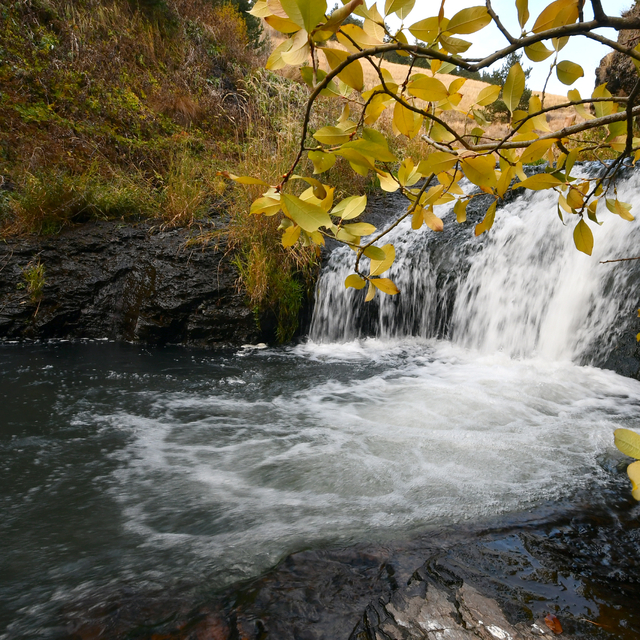 Kars'taki Keklik Vadisi'nde sonbahar güzelliği yaşanıyor