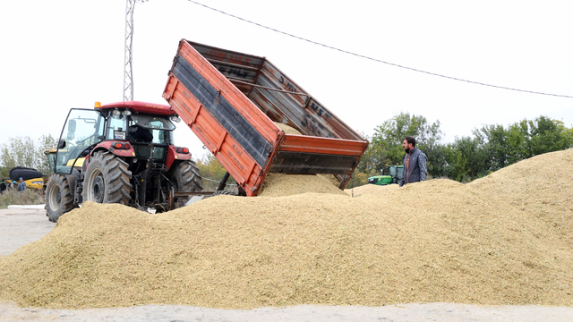 "Türkiye'nin çeltik ambarı" olarak nitelenen Trakya'da  hasat tamamlandı