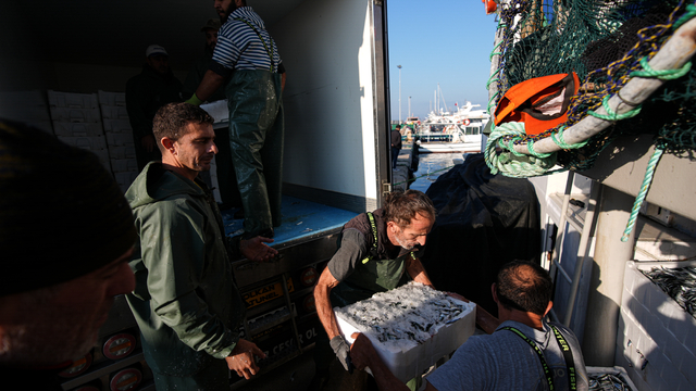 Egeli balıkçılar tayfa bulmakta zorlanıyor