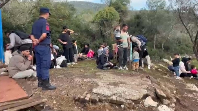 Milas'ta 74 kaçak göçmen yakalandı