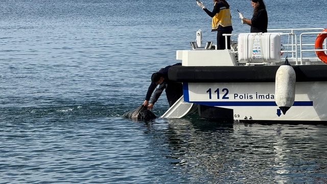 Erdek'te denizde ceset bulundu