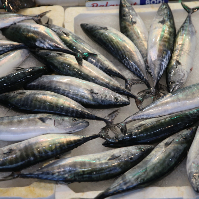 Ordu'da palamudun tanesi 150 liradan satılıyor