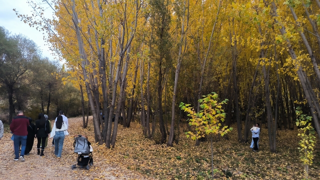 Doğanşehir'de sonbahar renkleri hakim oldu