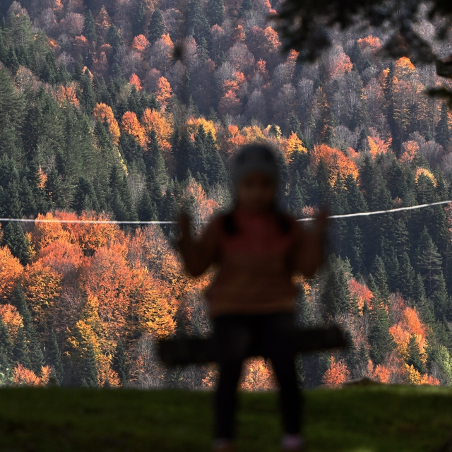 Düzce'nin Odayeri Yaylası ve Torkul Göleti, ziyaretçilerini sonbaharın renk...