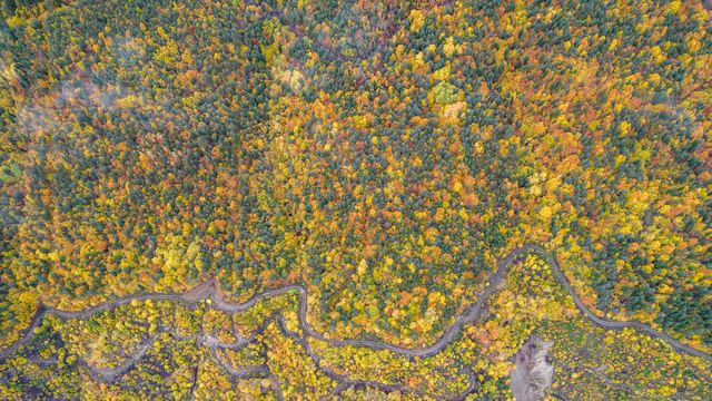 Ilgaz Dağı'nda sonbahar tüm renkleriyle yaşanıyor