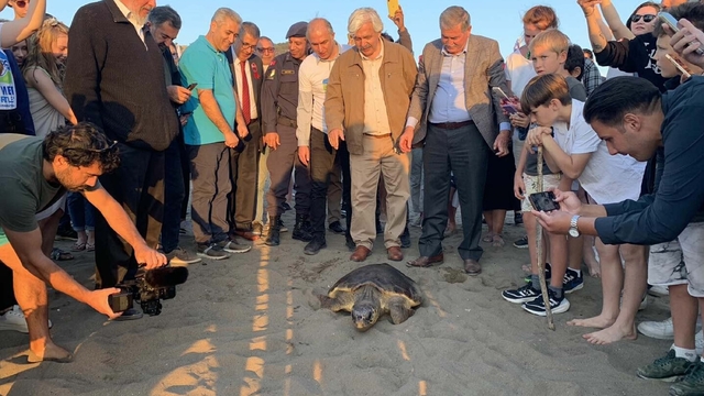 Caretta caretta 'Cumhuriyet'i 5 bin kişi takip etti