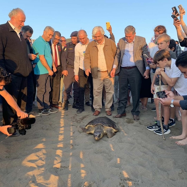 Caretta caretta 'Cumhuriyet'i 5 bin kişi takip etti
