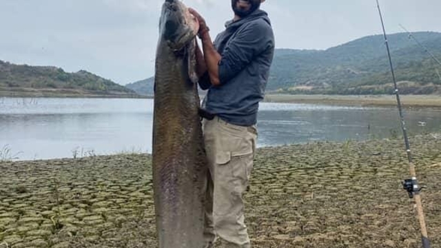 Su seviyesi düşen barajda yayın balığı avlıyorlar