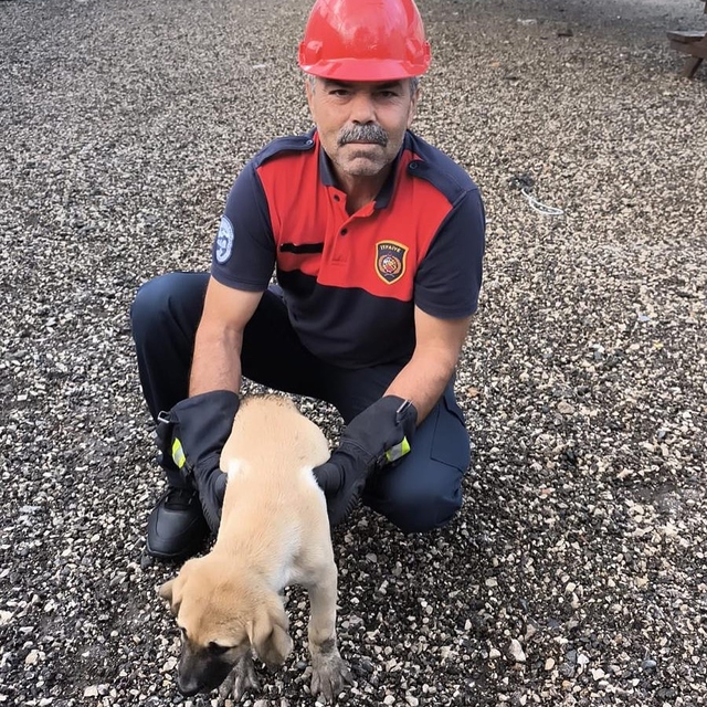 Dörtyol ilçesinde korkuluğa sıkışan köpek yavrusunu itfaiye ekibi kurtardı