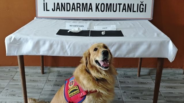 Şırnak'ta kaçakçılık ve asayiş operasyonlarında 87 şüpheli hakkında işlem yapıldı