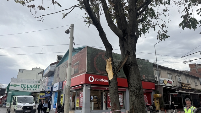 Bursa'da kuvvetli lodos etkili oluyor