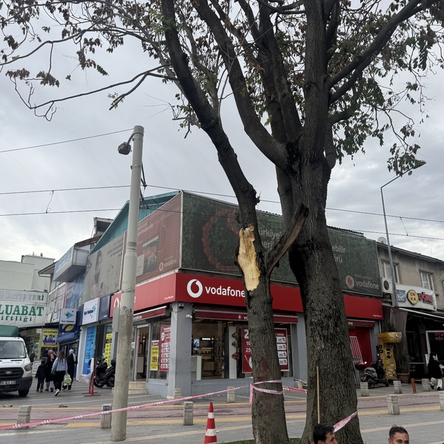 Bursa'da kuvvetli lodos etkili oluyor