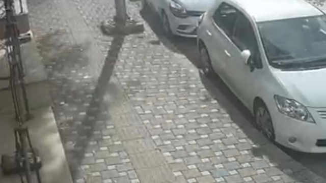 Bursa'da lodos etkili oldu;  ağaçlar devrildi, çatılar uçtu