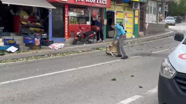 Bursa'da lodos hayatı olumsuz etkiledi; ağaçlar devrildi, çatılar uçtu (2)