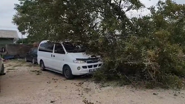 Bursa'da lodos hayatı olumsuz etkiledi; ağaçlar devrildi, çatılar uçtu (3)