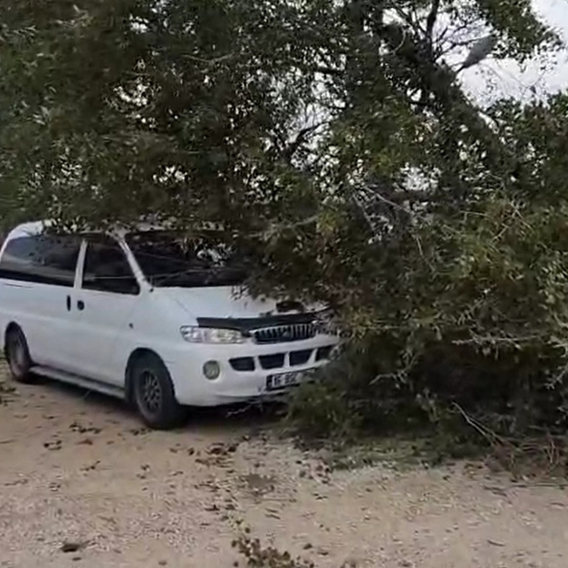 Bursa'da lodos hayatı olumsuz etkiledi; ağaçlar devrildi, çatılar uçtu (3)